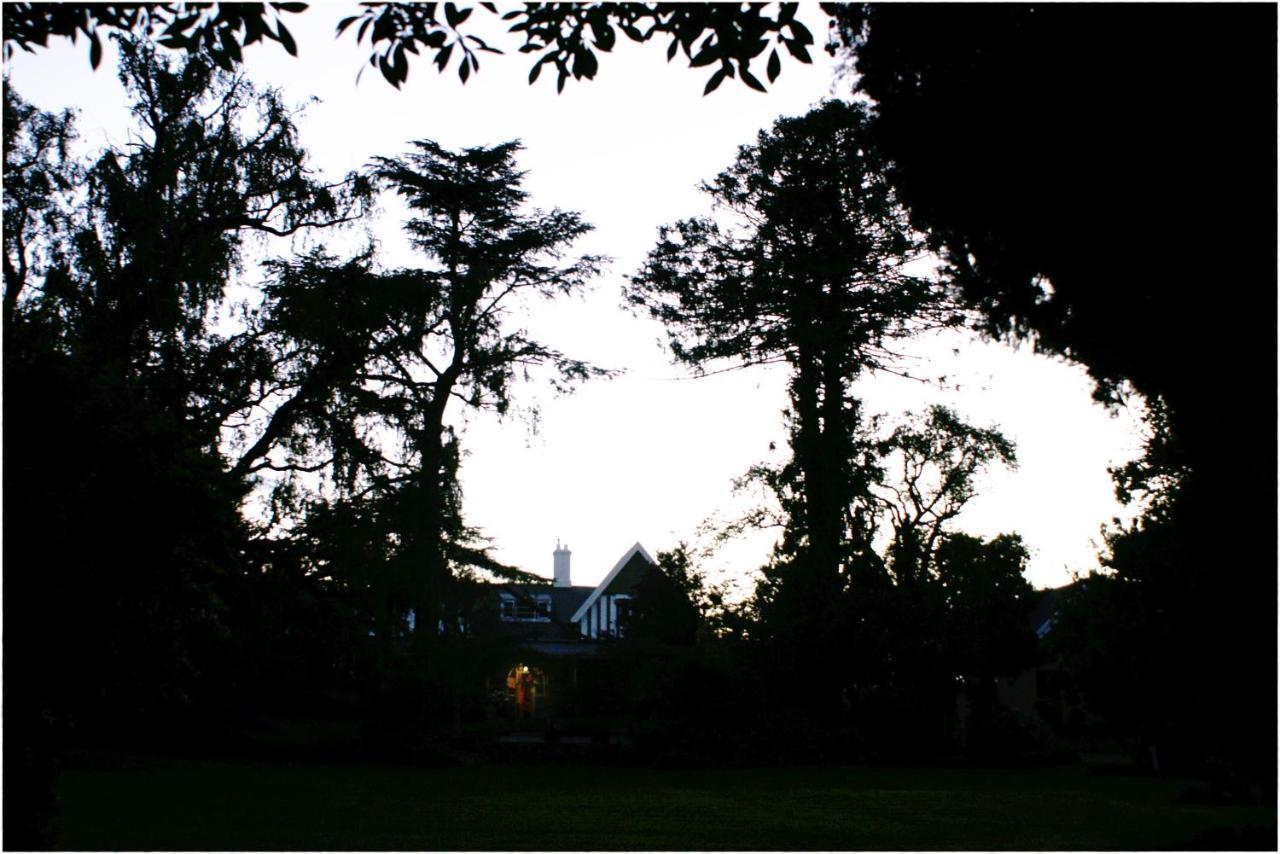 Shady Pines Guest House 해리스미스 외부 사진
